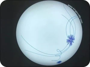 LED stropní lampa C